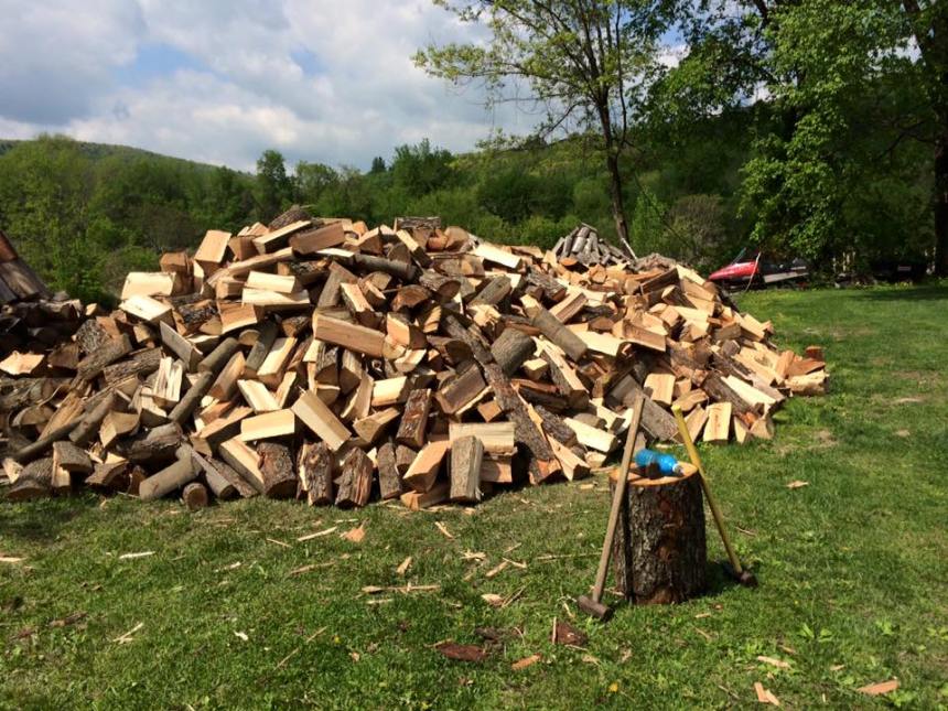 12107867_10204290066405957_7282361856006673061_n