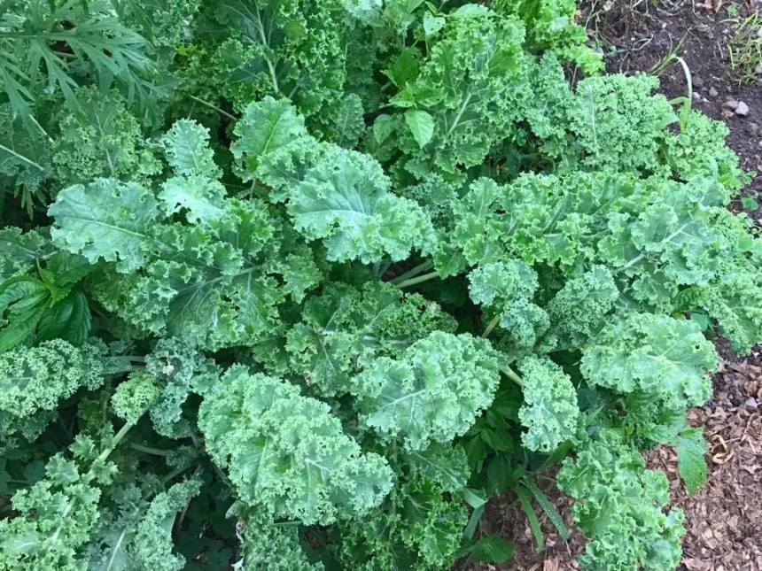 20140159_10208253021477357_6067126341323179145_n