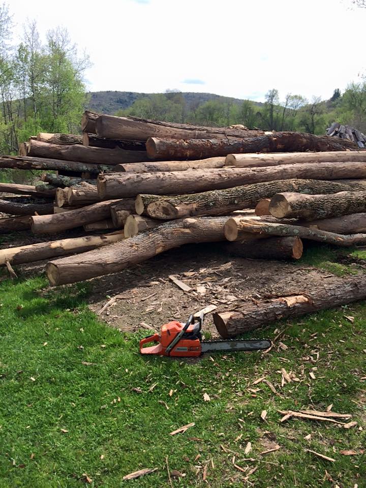 10425485_10204290066805967_1199519727369417441_n